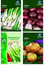 Onion seed white for sale  UK