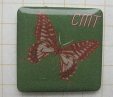 Schmetterling cmt ............ gebraucht kaufen  Münster