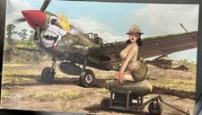 Eduard 40n warhawk for sale  CHELMSFORD