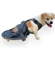 Pet scooter wheelchair for sale  Corona