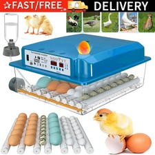 Inkubator brutmaschine eier gebraucht kaufen Inkubator brutmaschine eier gebraucht kaufen  Aspisheim, Grolsheim