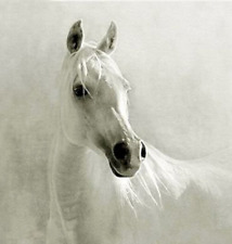 Arte realista Pintura a óleo belo animal cabeça de cavalo branco pintado à mão em tela  comprar usado  Enviando para Brazil