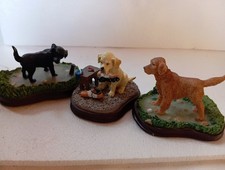 labrador hunde gebraucht kaufen labrador hunde gebraucht kaufen Finsterwalde
