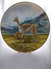 Vicuna last kind for sale  GRIMSBY
