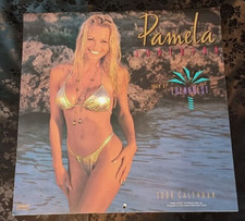 Pamela anderson vintage for sale  Plano