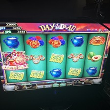 Igs day dead for sale  Omaha