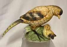 Female pheasant game for sale  NORTHAMPTON