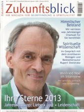 Zukunftsblick 2013 januar gebraucht kaufen  Wunstorf