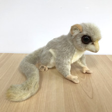 Hansa mouse lemur for sale  GUILDFORD