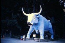Foto slide 35 mm S1095 CA California Redwood Highway Paul Bunyan Blue Ox Babe comprar usado  Enviando para Brazil