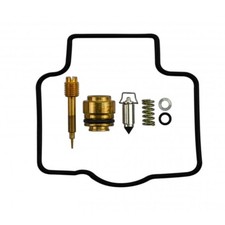 Carburetor repair kit for sale  BRIGHTON