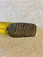 Trilobite fossil genuine for sale  Myrtle Beach