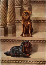 Antique dog artwork for sale  Novato