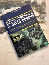 Vittorio menassé gatto usato  Prato