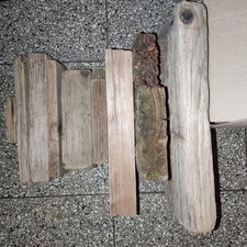 Schwemmholz treibholz xxl gebraucht kaufen  Duisburg