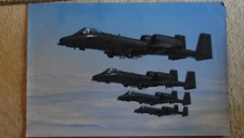 Huge 10 warthogs for sale  Irvine