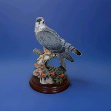 Country artists hobby for sale  SKIPTON