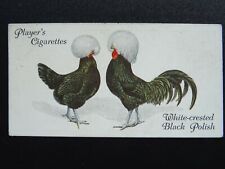.37 white crested for sale  UK