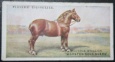 Suffolk punch draught for sale  DERBY