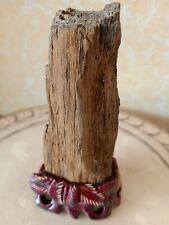 Pedras de montanha pedra natural porcelana Bonsai Suiseki pedra de madeira petrificada 052101 comprar usado  Enviando para Brazil