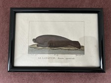 gravure d'occasion gravure d'occasion  Paris XI