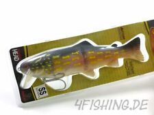 Castaic hard head gebraucht kaufen  Lauf a.d.Pegnitz