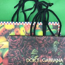 Dolce gabbana borse usato  Teggiano