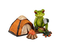 Formano froschhausen frosch gebraucht kaufen  Hadamar