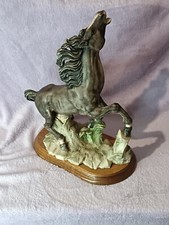 Rearing stallion horse for sale  DUNDEE