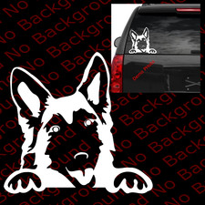 Peeking gsd german for sale  Elk Grove