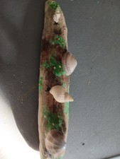 Handmade shell driftwood for sale  CARDIFF