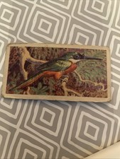 Brooke bond trading for sale  WHYTELEAFE