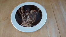 Snowdonia pottery beddgelert for sale  LIVERPOOL