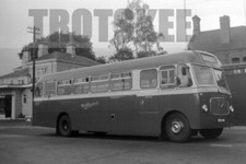 Larger negative williams for sale  HIGH WYCOMBE