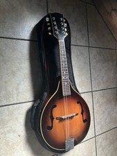Vintage mandolin soft for sale  Arden