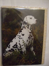 Carte chien dalmatien d'occasion  Troyes