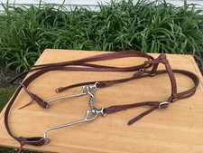 Gaited walking horse for sale  Erie