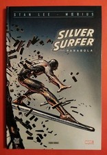 Silver surfer parabola usato  San Prisco