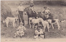 Lourdes eleveur chiens d'occasion  Mont-de-Marsan