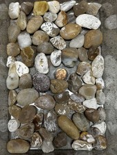 Northern california ocean for sale  San Francisco