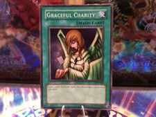 Graceful charity super gebraucht kaufen  Speichersdorf