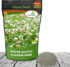Outsidepride perennial white for sale  Tampa