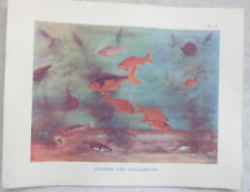 Vintage school educational for sale  BEVERLEY