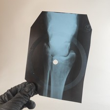 DOORS HORSE LATITUDE X-Ray USSR Record Roentgen Bone Ribs Music Vinyl comprar usado  Enviando para Brazil