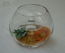 Formano doppel vase gebraucht kaufen  Twistringen