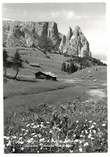Dolomiti alpe siusi usato  Faenza