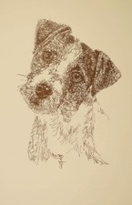 JACK RUSSELL TERRIER PRINT #34 Kline adiciona o nome do seu cão grátis PARSONS Rough JRT comprar usado  Enviando para Brazil