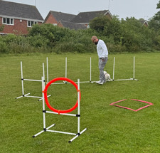 Dog agility training for sale  MILTON KEYNES
