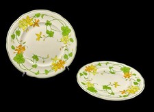 Villeroy boch geranium for sale  STANLEY