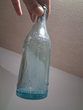 Beautiful blue straight for sale  Cullman